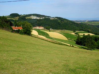 Prairies, bois et cultures, monts du Lyonnais entre Yzeron… 