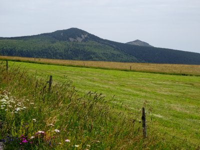 DSC05539 