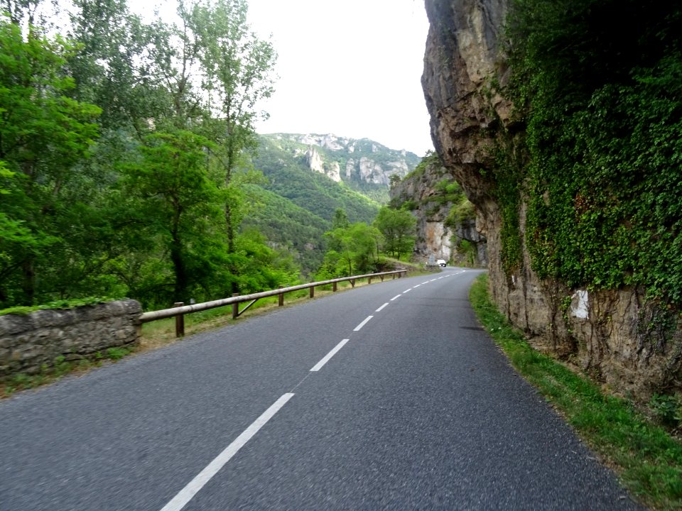 Dans les gorges du Tarn, Aveyron 