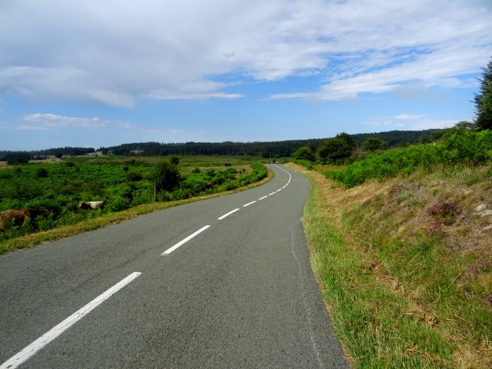 Parc Naturel Régional du Haut Languedoc, forêt domaniale d… 