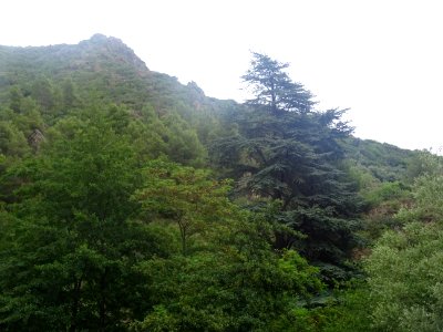 DSC06306 