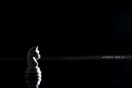Chess love story