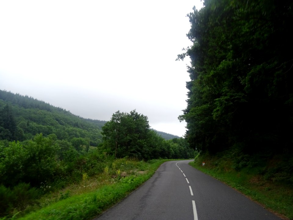 La petite D62 file en descente vers Nages, Tarn 