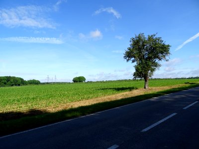 DSC03923 