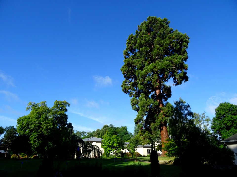 Le parc du lycée Saint-Antoine, Marcoussis, Essonne 
