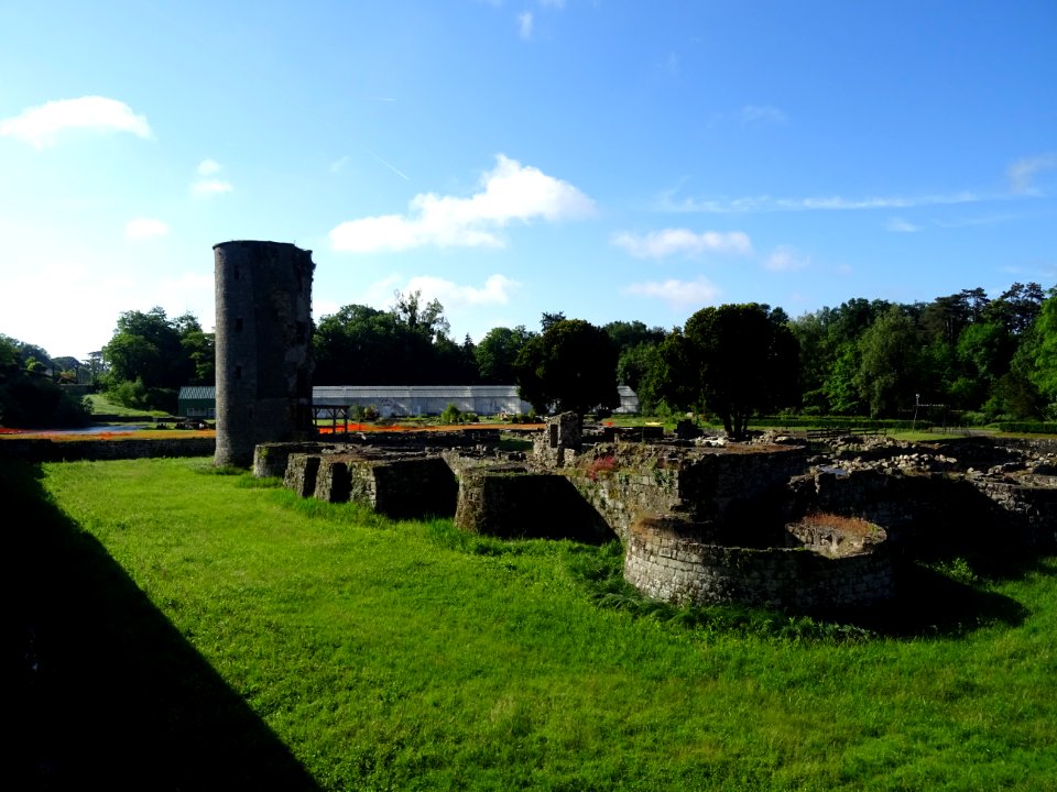 Les ruines du château de Montagu, Marcoussis, Essonne 