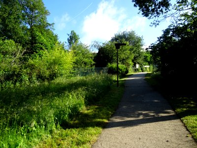 Chemin Jean Ferrat, Marcoussis, Essonne 