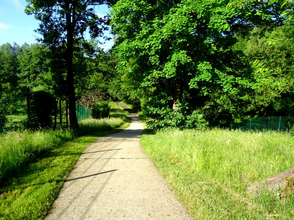 Chemin Jean Ferrat, Marcoussis, Essonne 