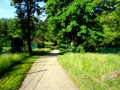 Chemin Jean Ferrat, Marcoussis, Essonne 