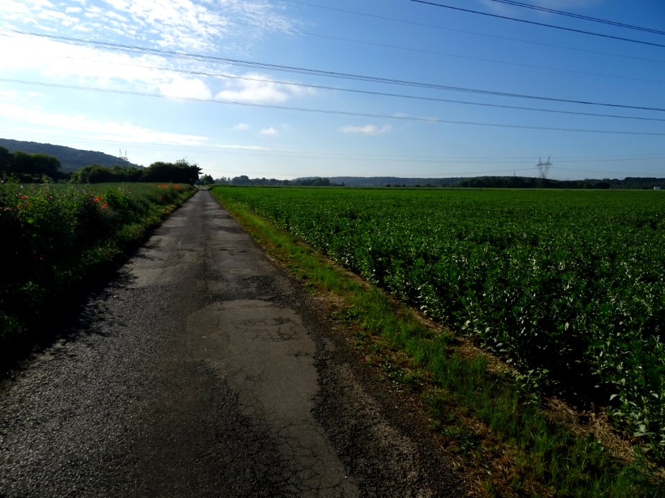 Chemin des Bieds, raccourci à travers champs, Marcoussis, … 
