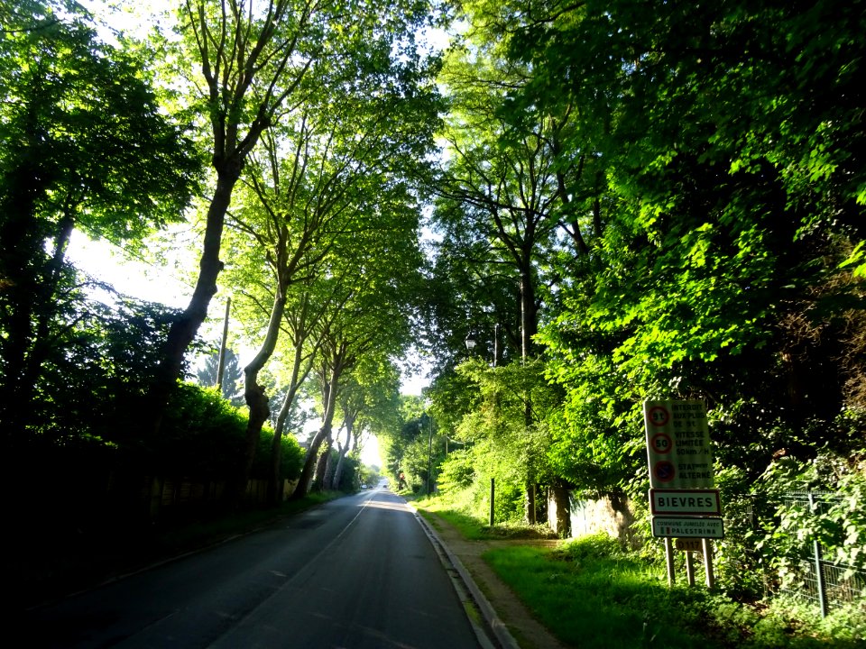 La D444, entre Bièvres et Igny, Essonne 