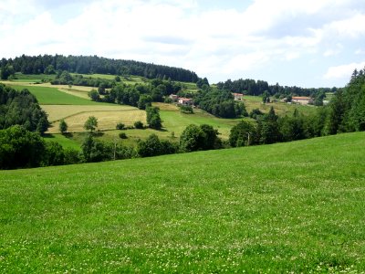 Prairies, petits bosquets, avant St-Régis-du-Coin, Loire 