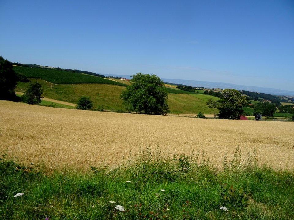 Entre le Bas Cluzel, La Brosse, Le Cry et Grammond, monts … 