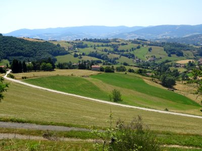 DSC05175 