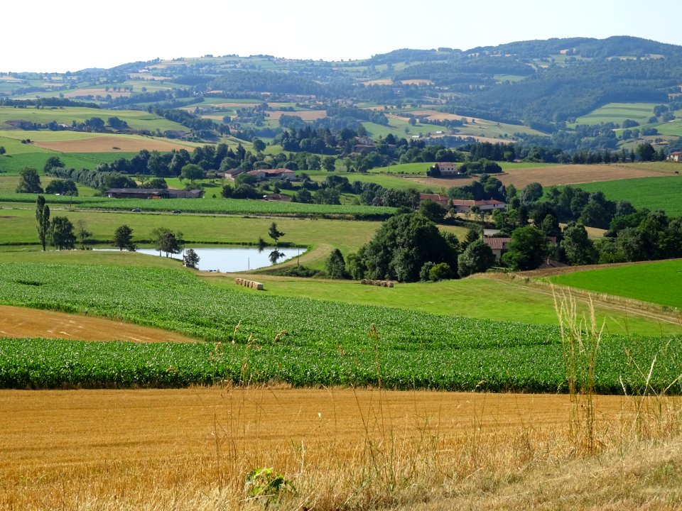 Petit étang Le Manipan, juste avant St-Symphorien-sur-Co… 