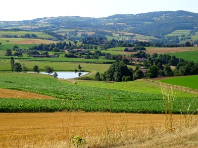 Petit étang Le Manipan, juste avant St-Symphorien-sur-Co… 