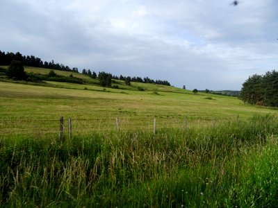 DSC05679 