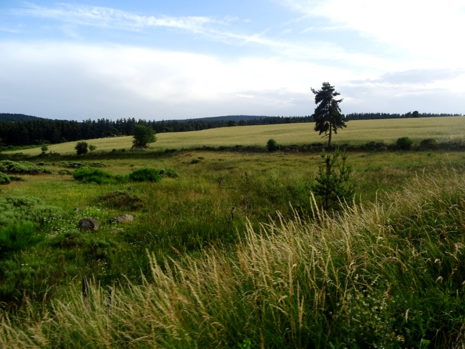 DSC05678 