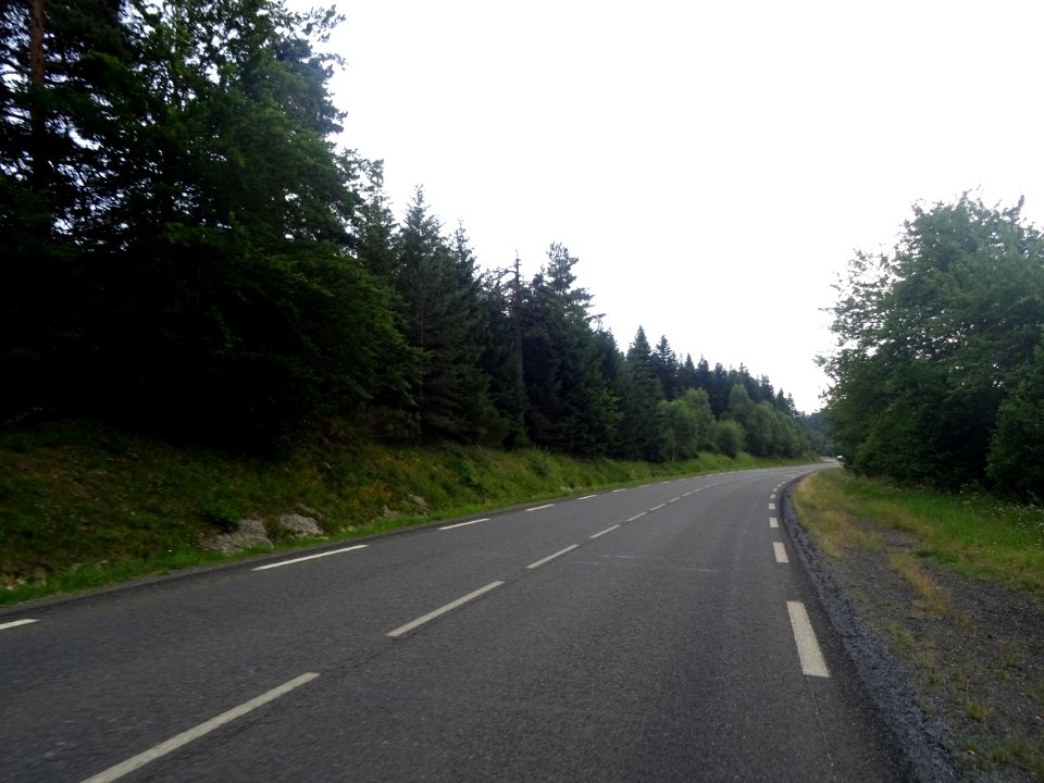 DSC05646 
