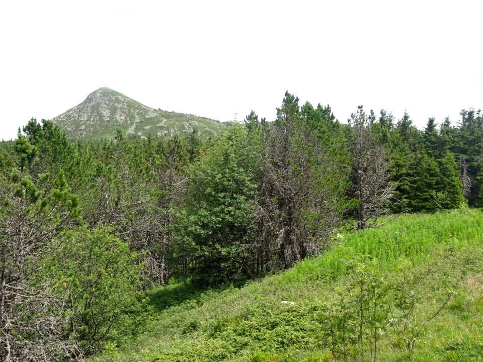 Sommet du Mont Mézenc, à la limite de la Haute-Loire et de… 