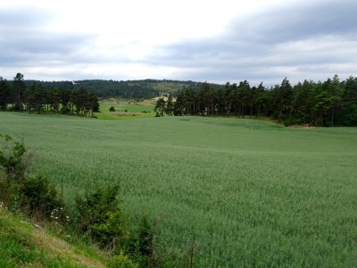 DSC05803 