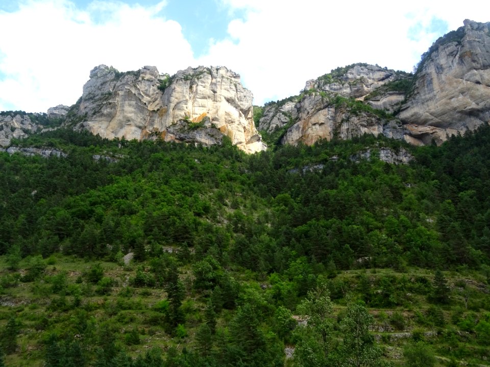 Dans les gorges du Tarn, Aveyron 