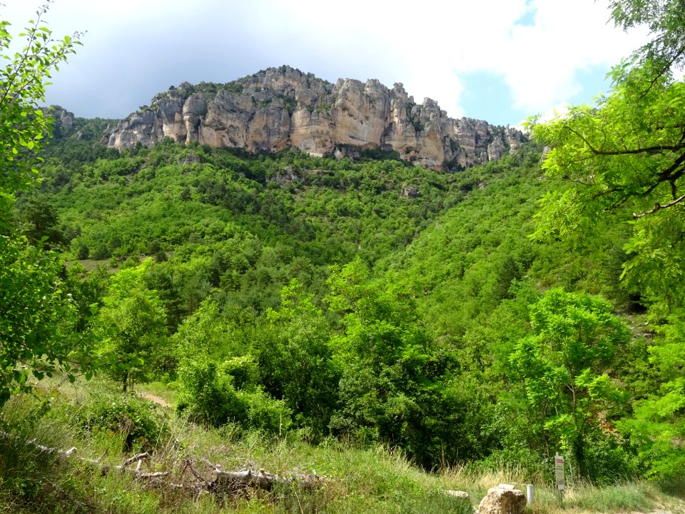 Dans les gorges du Tarn, Aveyron 