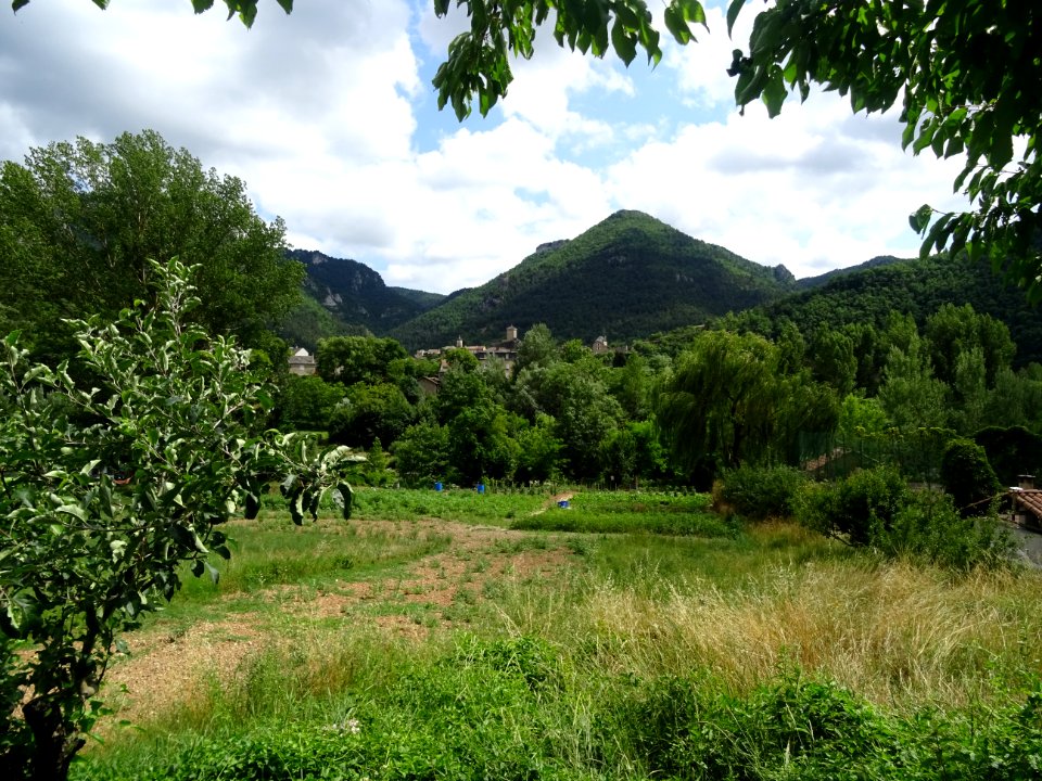 Sur la D907, vue depuis St-Pal vers Le Rozier, gorges du T… 