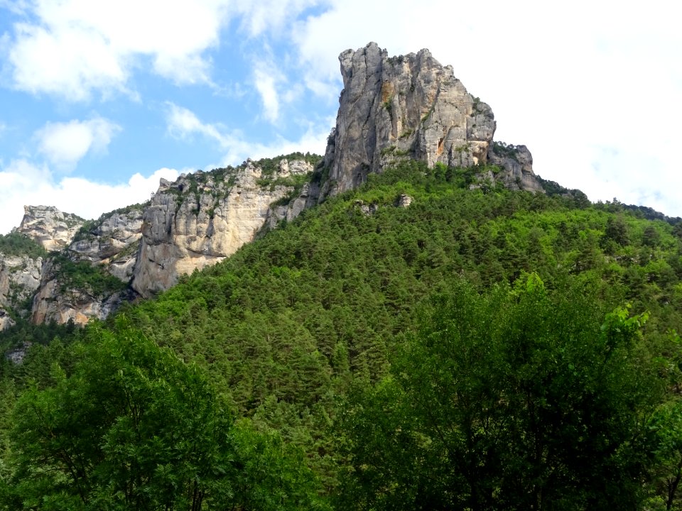 Dans les gorges du Tarn, Aveyron 