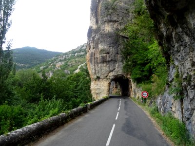 Dans les gorges du Tarn, Lozère 