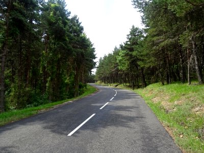 Montée vers le Causse Sauveterre, Lozère 