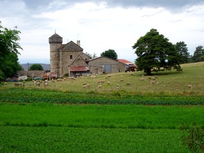 Ferme fortifiée du Choizal, sur le Causse de Sauveterre, L… photo