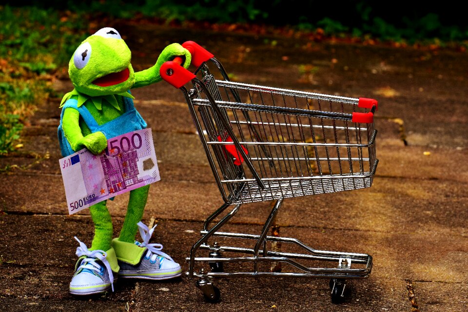 Frog fun stuffed animal