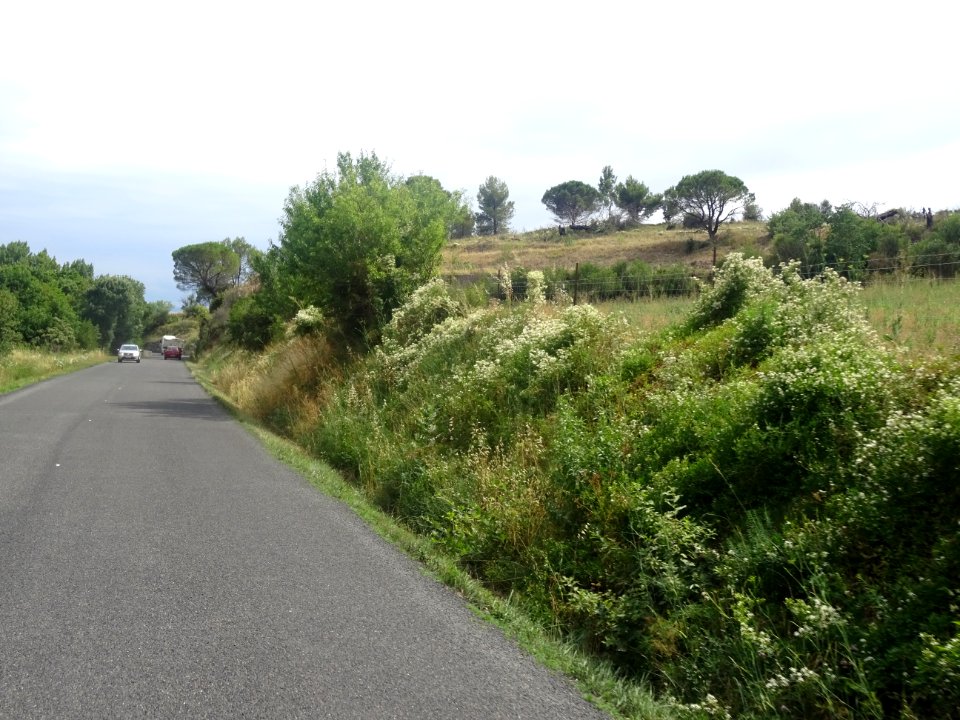 Ca sent les Pins et le Sud et la fin de 4 jours de vélo 