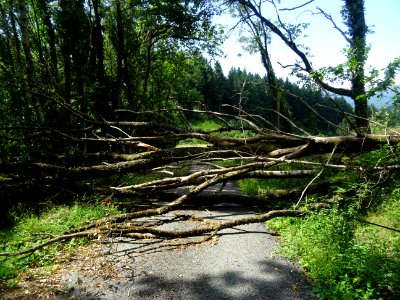 Arbres abattus par un orage, route barrée entre Prouilhe e… 