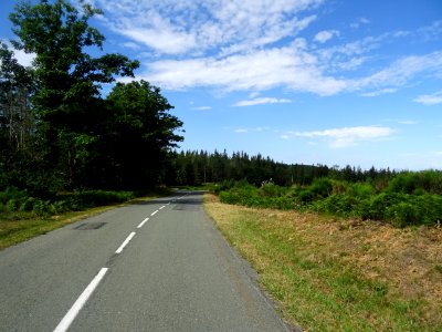 Parc Naturel Régional du Haut Languedoc, forêt domaniale d… 