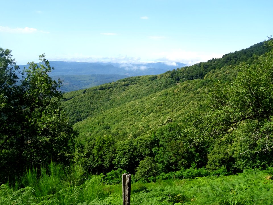 Dans la descente du Col de Cabarétou, Parc Naturel Régiona… 