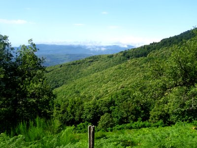Dans la descente du Col de Cabarétou, Parc Naturel Régiona… 