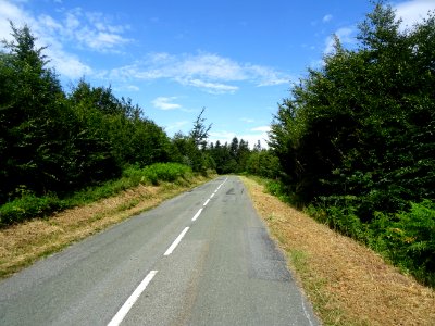 Parc Naturel Régional du Haut Languedoc, forêt domaniale d… 