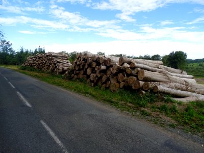 Tas de grumes sur le bord de la route, Parc Naturel Région… 