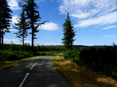 Parc Naturel Régional du Haut Languedoc, forêt domaniale d… 