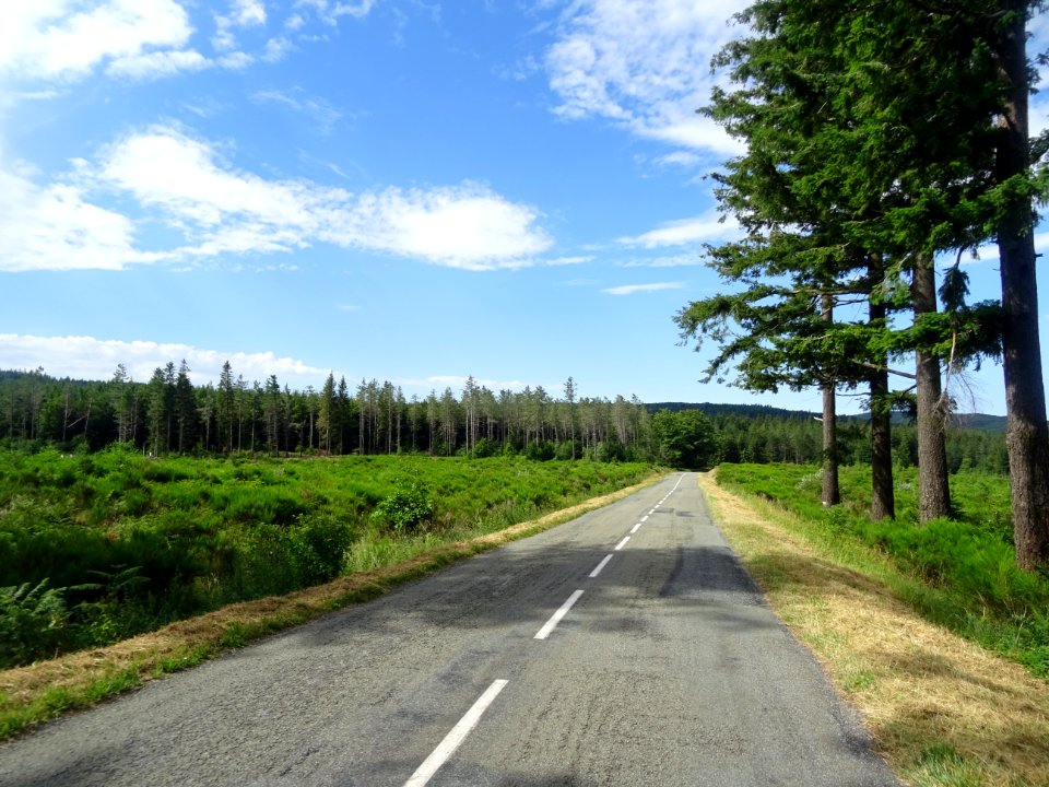 Parc Naturel Régional du Haut Languedoc, forêt domaniale d… 