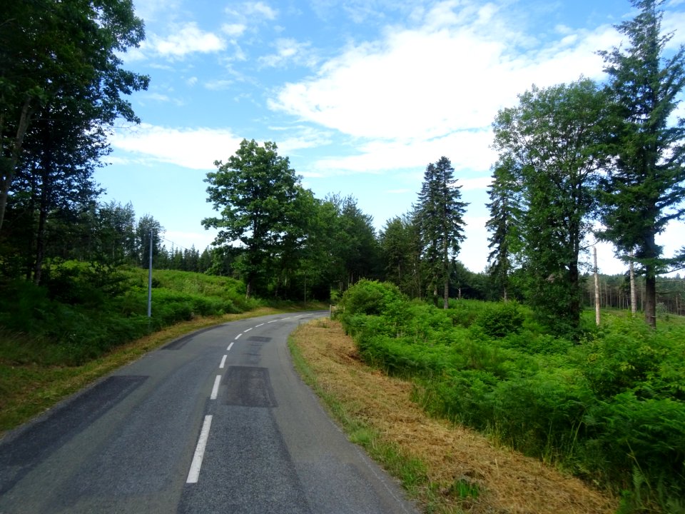 Parc Naturel Régional du Haut Languedoc, forêt domaniale d… 