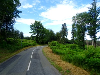 Parc Naturel Régional du Haut Languedoc, forêt domaniale d… 