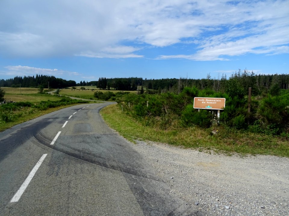 Parc Naturel Régional du Haut Languedoc, forêt domaniale d… 