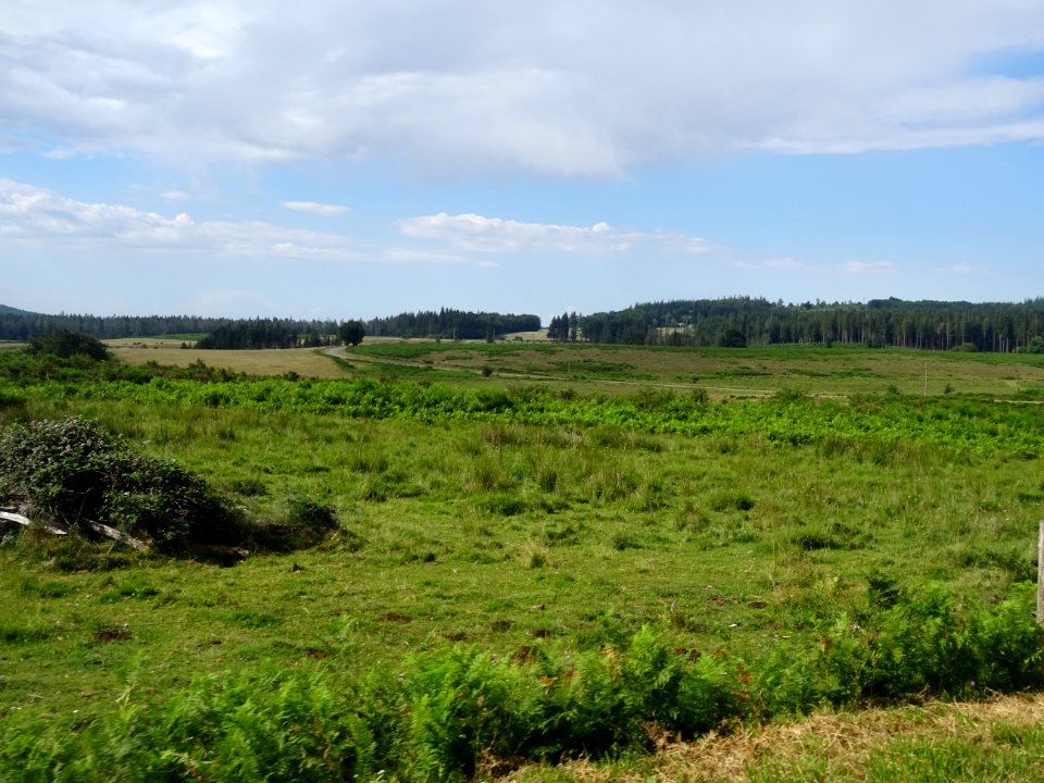 Parc Naturel Régional du Haut Languedoc, forêt domaniale d… 