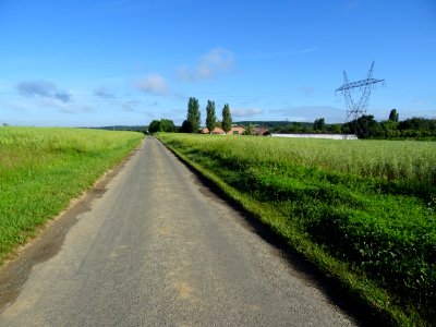 Chemin des Bieds, raccourci à travers champs, Marcoussis, … 