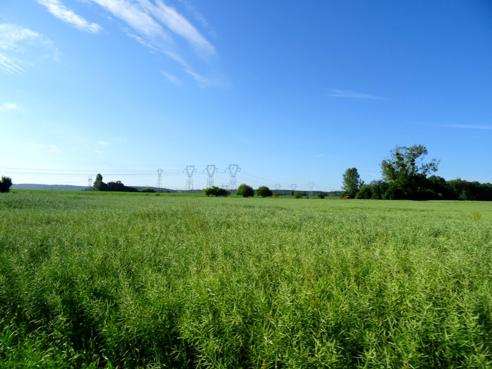Raccourci à travers champs, Marcoussis, Essonne 