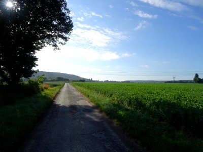 Chemin des Bieds, raccourci à travers champs, Marcoussis, … 