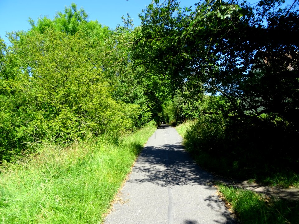 Sur la piste cyclable, le long du canal de l'Ourcq, Sevran… 